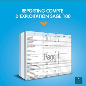 Reporting Compte d’Exploitation